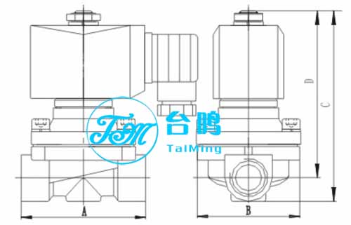 黃銅電磁閥圖片
